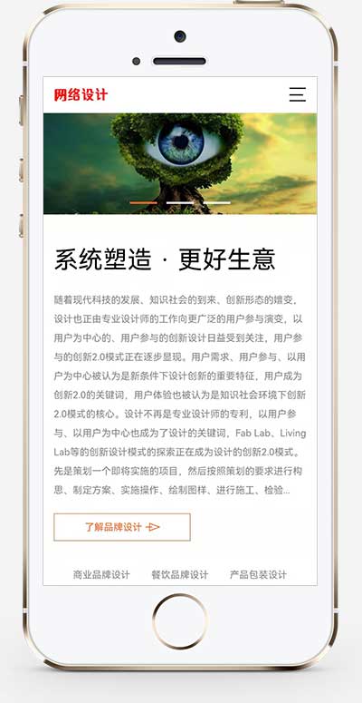 (自适应手机端)品牌策划设计公司网站模板 网络设计公司网站