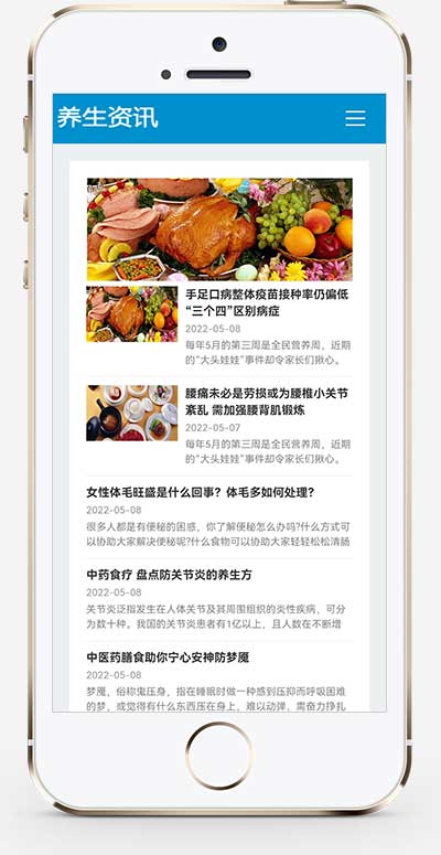 (自适应手机端)HTML5响应式百度MIP三合一养生资讯文章新闻博客类模板