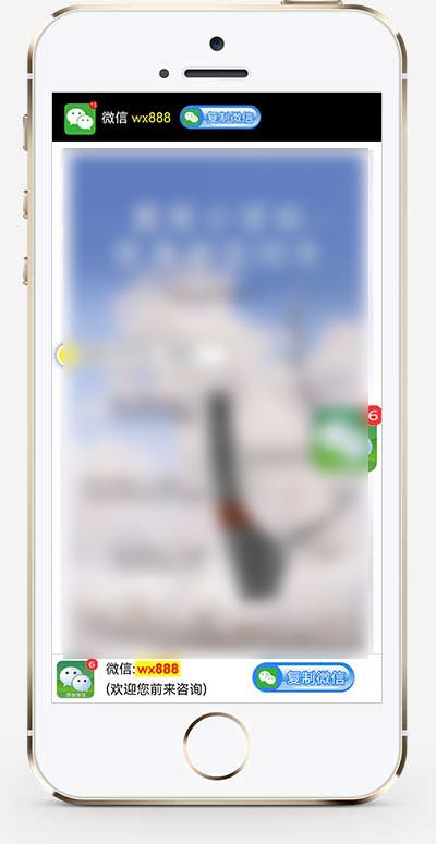 (独立手机版)落地页单页模板 营销推广落地页网站